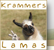 Krammers Lamas Startseite